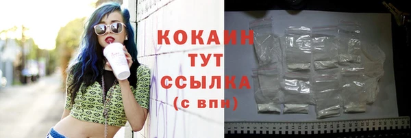 гашик Горняк