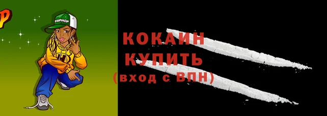 гашик Горняк