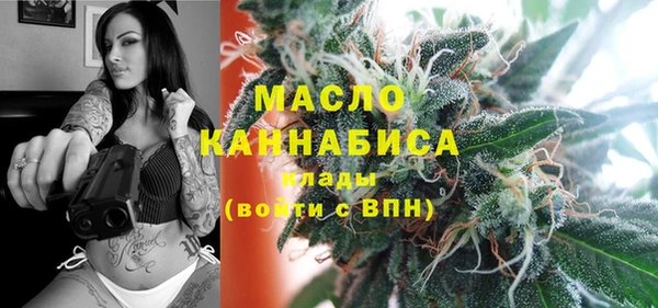гашик Горняк