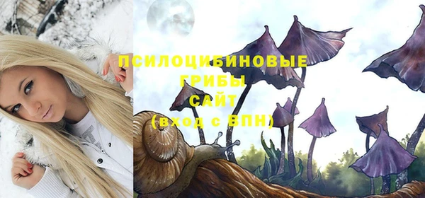 соль курить ск Горно-Алтайск