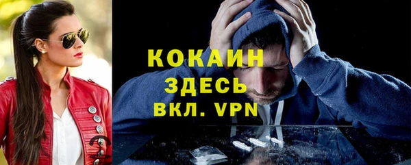 гашик Горняк