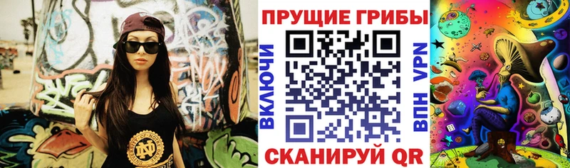 Псилоцибиновые грибы Psilocybe  Купить где  Хвалынск 